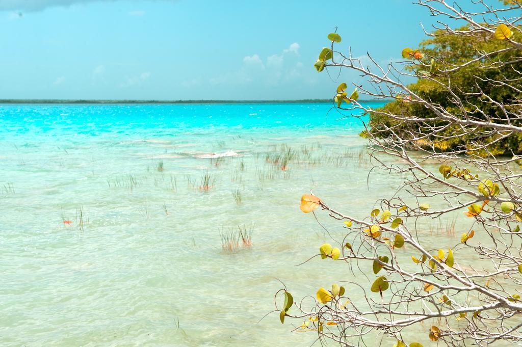 Hotel Rancho Encantado Bacalar Kültér fotó